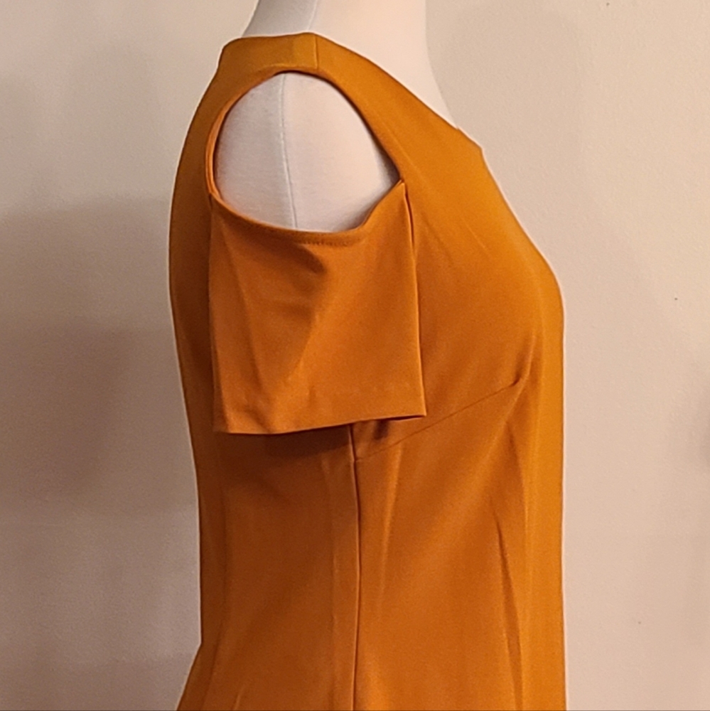NWT Tommy Hilfiger size 8 rust color dress - Picture 3 of 8